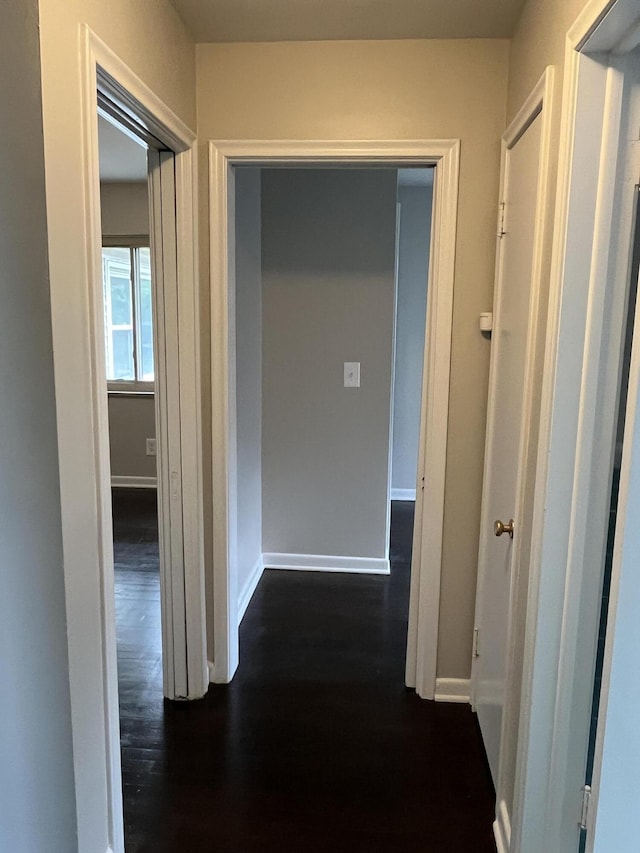 24680 Kenosha St, Oak Park, MI 48237 - corridor featuring dark wood finished floors and baseboards