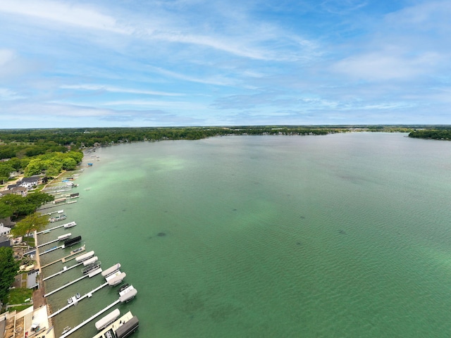 21922 Lake St, Cassopolis, MI 49031 - water view