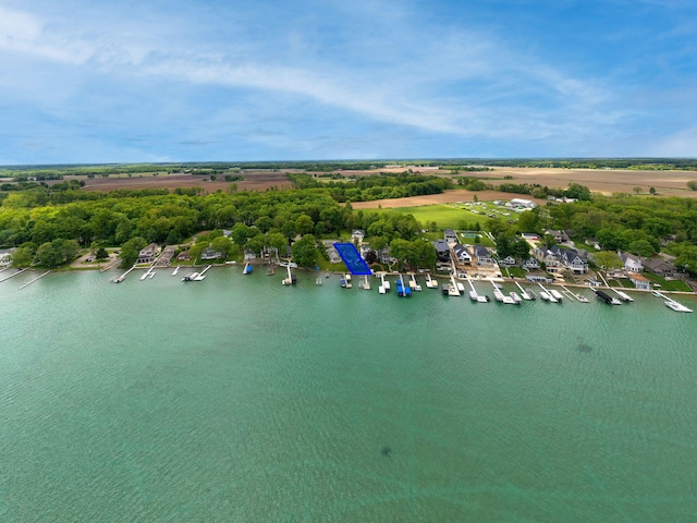 21922 Lake St, Cassopolis, MI 49031 - aerial view of a nearby body of water