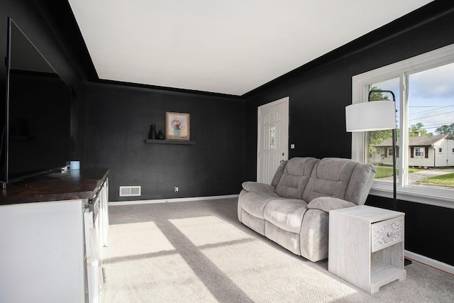 515 Fairfield Ave, Battle Creek, MI 49015 - carpeted living room with plenty of natural light and baseboards