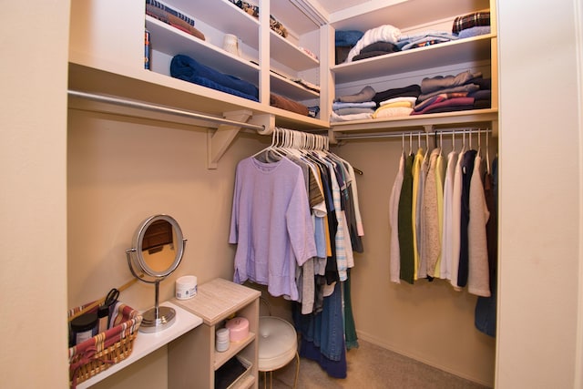 2727 S Lakeshore Dr Unit F-24, Saint Joseph, MI 49085 - walk in closet featuring carpet flooring