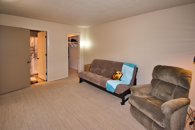 2727 S Lakeshore Dr Unit F-24, Saint Joseph, MI 49085 - living area with light colored carpet