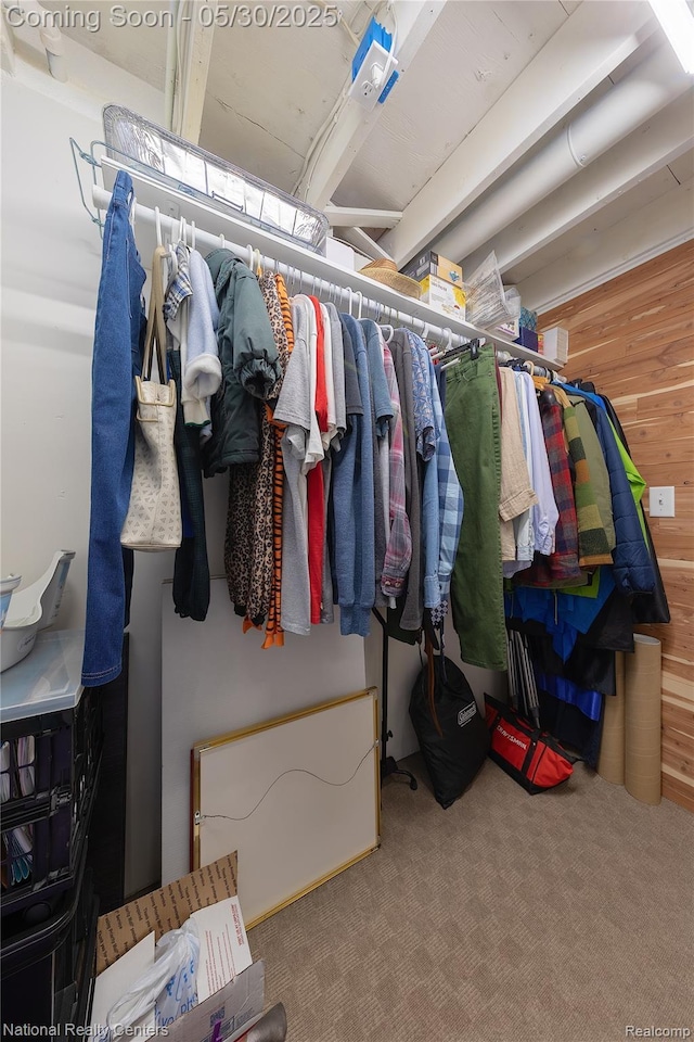 33532 Regal, Fraser, MI 48026 - spacious closet featuring carpet