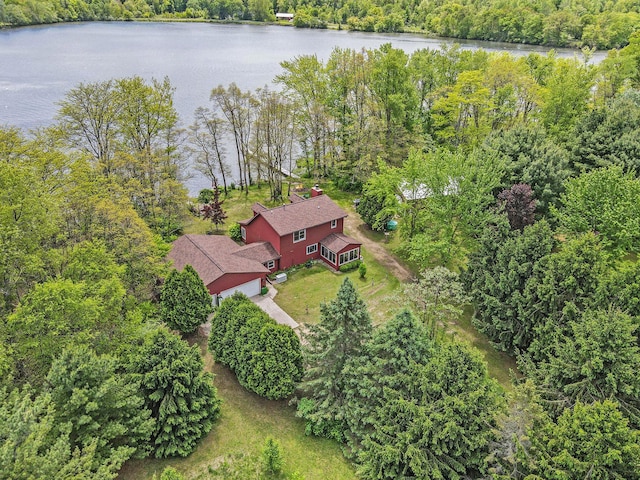 3444 Snowfarm Ln, Allegan, MI 49010 - view from above of property featuring a large body of water and a heavily wooded area