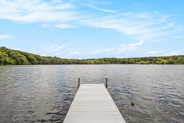 3444 Snowfarm Ln, Allegan, MI 49010 - dock area with a water view and a forest view