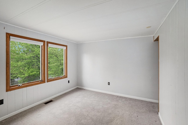 1862 19 Mile Rd, Barryton, MI 49305 - spare room featuring carpet flooring, ornamental molding, wood walls, and baseboards