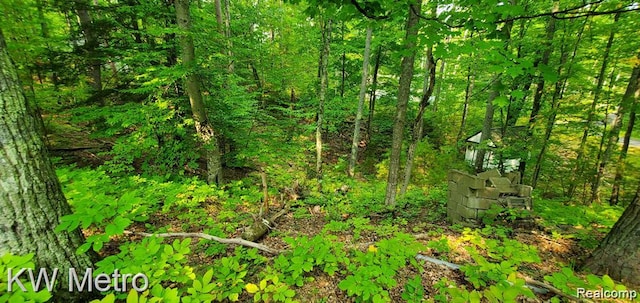 8362 W Deer Rd, Curran, MI 48728 - photo 8