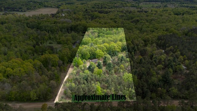 6210 W Monroe Rd, Hesperia, MI 49421 - aerial view of property's location with a forest and property parcel outlined