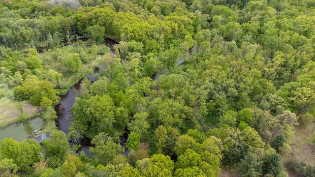 6210 W Monroe Rd, Hesperia, MI 49421 - drone / aerial view of a heavily wooded area and a nearby body of water