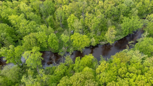 6210 W Monroe Rd, Hesperia, MI 49421 - drone / aerial view of a large body of water and a heavily wooded area
