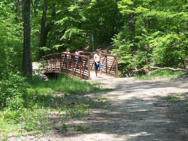 12215 Dunes Rd, Sawyer, MI 49125 - exterior view of a heavily wooded area