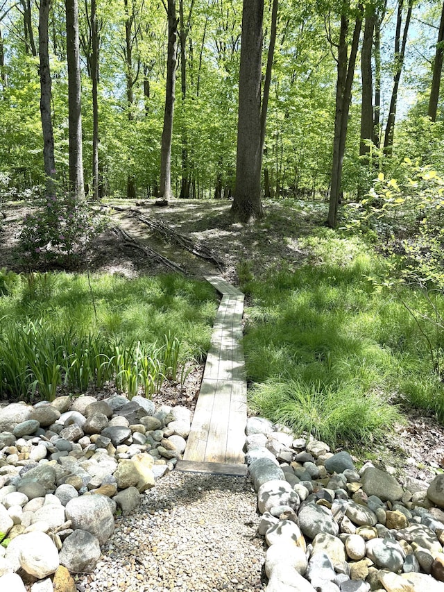 12215 Dunes Rd, Sawyer, MI 49125 - view of yard