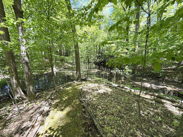 12215 Dunes Rd, Sawyer, MI 49125 - view of local wilderness