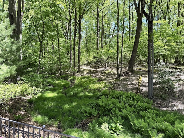 12215 Dunes Rd, Sawyer, MI 49125 - view of nature