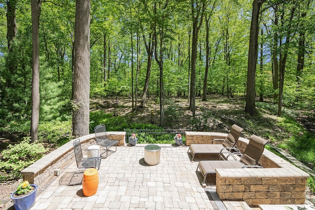 12215 Dunes Rd, Sawyer, MI 49125 - view of patio