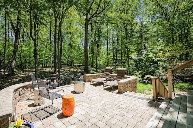 12215 Dunes Rd, Sawyer, MI 49125 - view of patio