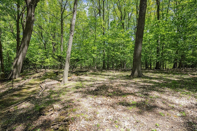12215 Dunes Rd, Sawyer, MI 49125 - view of tree filled area