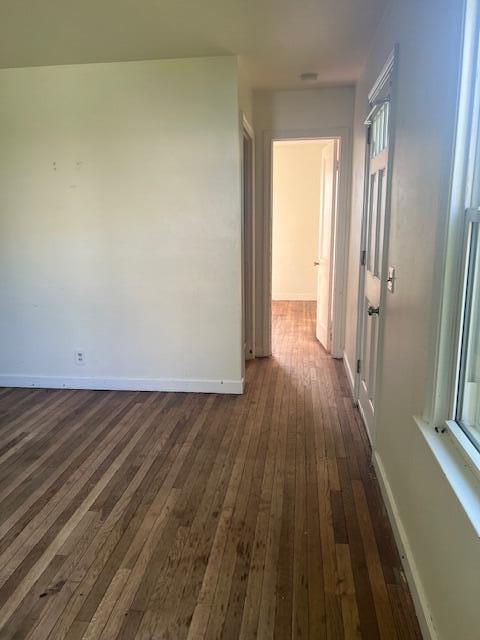 337 E Pine St, Fremont, MI 49412 - hall with dark wood finished floors and baseboards