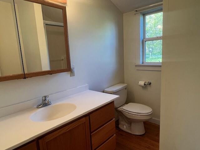 52 N Webster St, White Cloud, MI 49349 - full bathroom with vanity, toilet, wood finished floors, and a shower