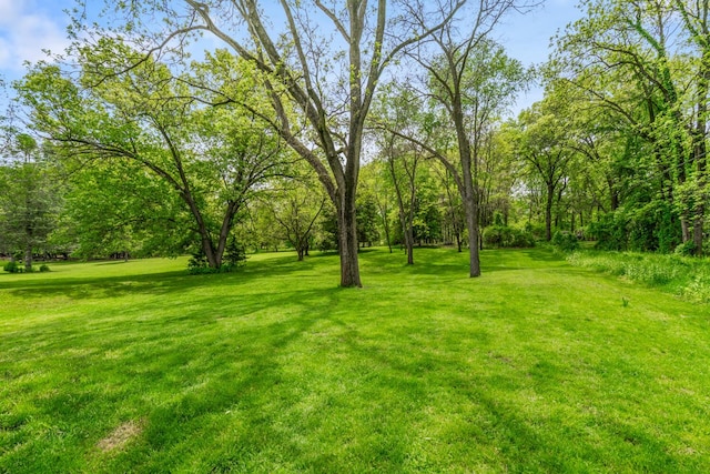124 S Shore Dr, Portage, MI 49002 - view of grassy yard