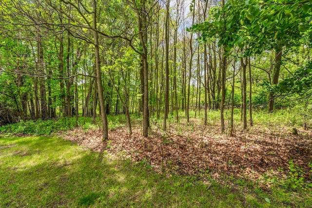 124 S Shore Dr, Portage, MI 49002 - view of tree filled area
