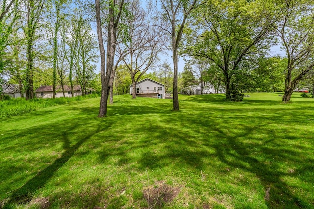 124 S Shore Dr, Portage, MI 49002 - view of grassy yard