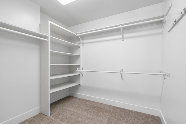 124 S Shore Dr, Portage, MI 49002 - spacious closet with carpet