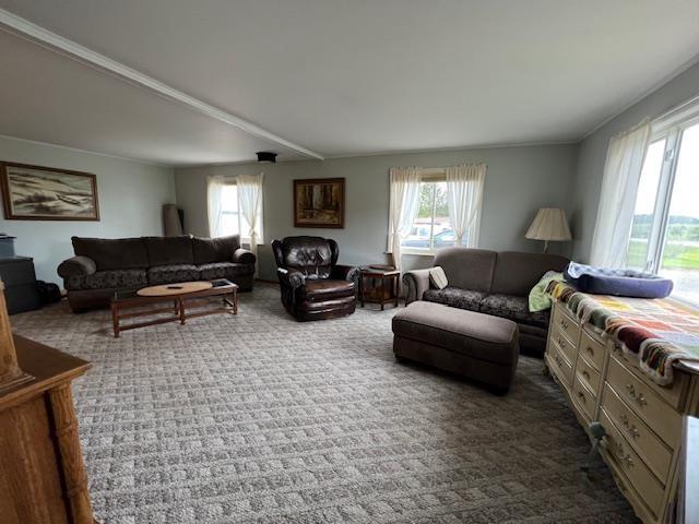 6465 M-55, Whittemore, MI 48770