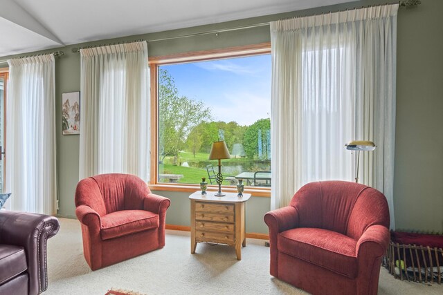 5145 Arrowhead Ct, Williamsburg, MI 49690