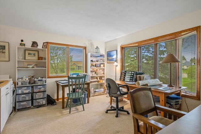 5145 Arrowhead Ct, Williamsburg, MI 49690