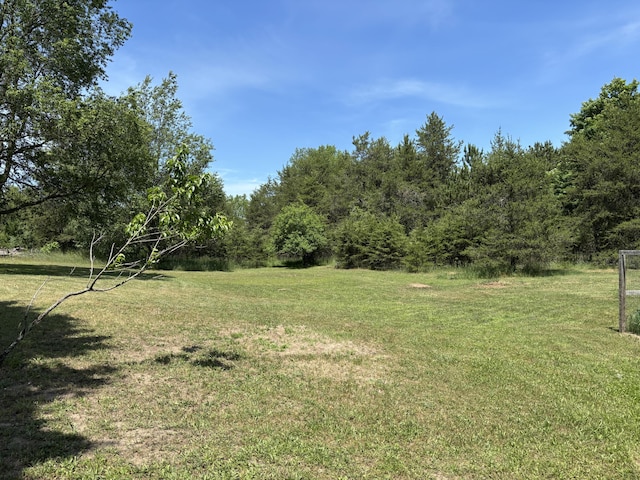 7694 Norconk Rd, Bear Lake, MI 49614 - photo 23
