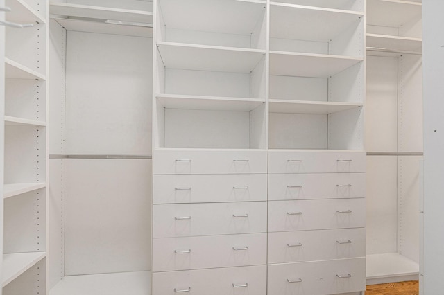 202 Orchard Hills Dr, Ann Arbor, MI 48104 - view of walk in closet