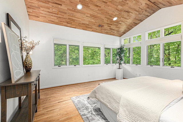 202 Orchard Hills Dr, Ann Arbor, MI 48104 - bedroom featuring wooden ceiling, lofted ceiling, baseboards, and light wood-type flooring