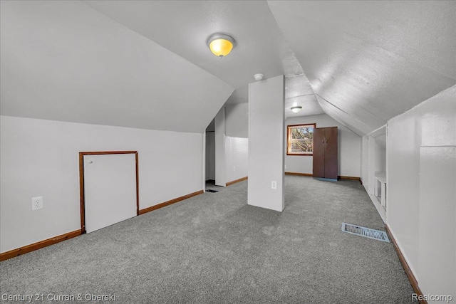59 E Pleasant St, River Rouge, MI 48218 - additional living space featuring carpet floors, vaulted ceiling, baseboards, and a textured ceiling