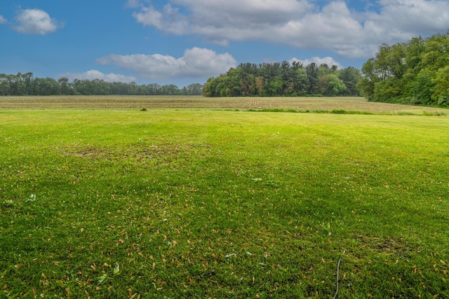 2800 Mayflower Rd, Niles, MI 49120 - view of green lawn featuring a view of rural / pastoral area and agricultural plots