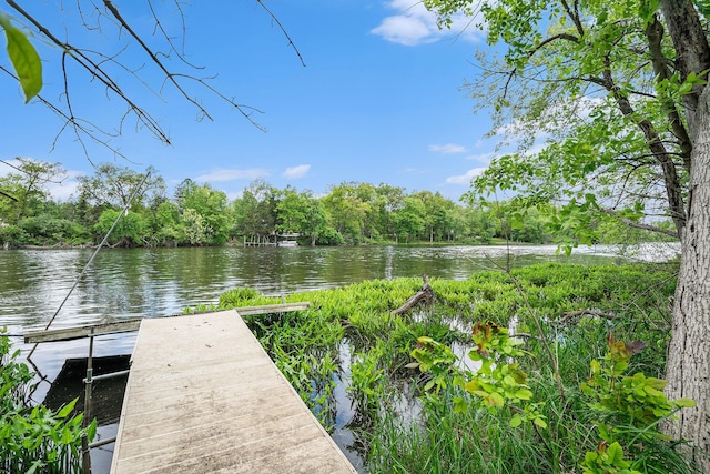 720 Riverside Dr, Constantine, MI 49042 - dock area with a water view