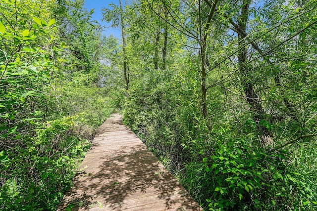 720 Riverside Dr, Constantine, MI 49042 - view of surrounding community