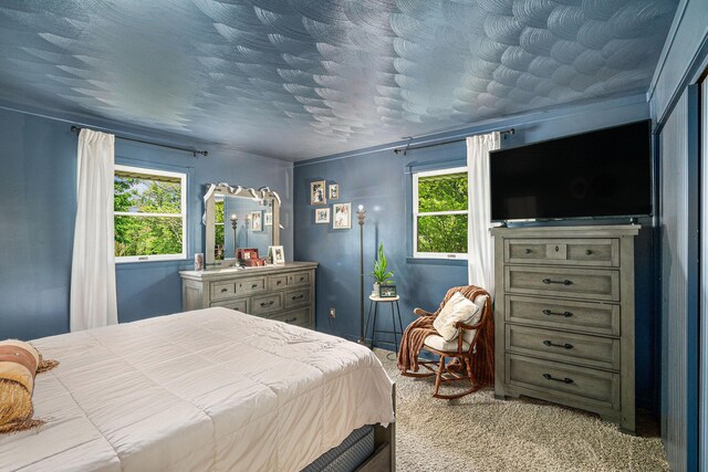 720 Riverside Dr, Constantine, MI 49042 - bedroom with multiple windows and carpet flooring