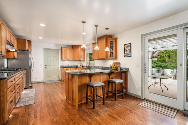 720 Riverside Dr, Constantine, MI 49042 - kitchen featuring healthy amount of natural light, a peninsula, dark wood-style flooring, and recessed lighting