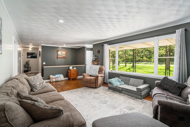 720 Riverside Dr, Constantine, MI 49042 - living room featuring wood finished floors, ornamental molding, baseboards, and recessed lighting