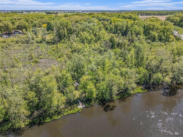 720 Riverside Dr, Constantine, MI 49042 - bird's eye view of a heavily wooded area and a large body of water