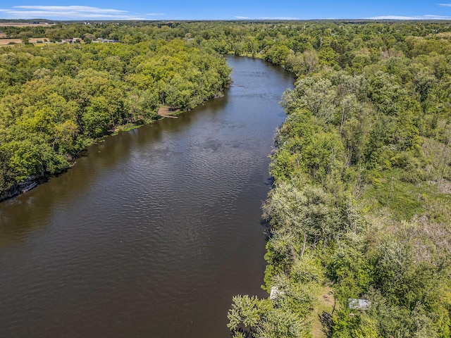 720 Riverside Dr, Constantine, MI 49042 - drone / aerial view of a heavily wooded area and a large body of water