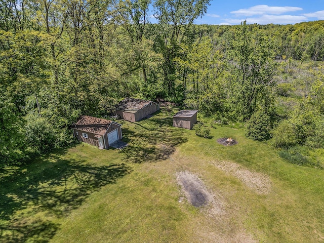 720 Riverside Dr, Constantine, MI 49042 - aerial view of a forest
