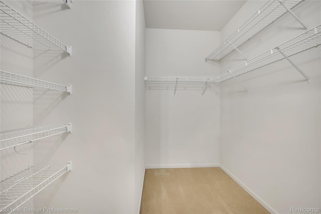 1721 Deepwood Cir, Rochester, MI 48307 - walk in closet featuring carpet