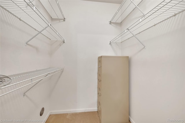 1721 Deepwood Cir, Rochester, MI 48307 - walk in closet featuring light colored carpet