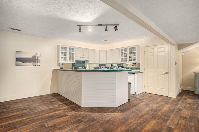 7431 W Buchanan Rd, Shelby, MI 49455 - kitchen featuring a textured ceiling, a peninsula, under cabinet range hood, baseboards, and glass insert cabinets