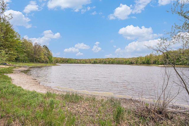 7431 W Buchanan Rd, Shelby, MI 49455 - water view featuring a forest