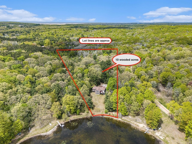 7431 W Buchanan Rd, Shelby, MI 49455 - aerial overview of property's location featuring a forest, property parcel outlined, and a nearby body of water