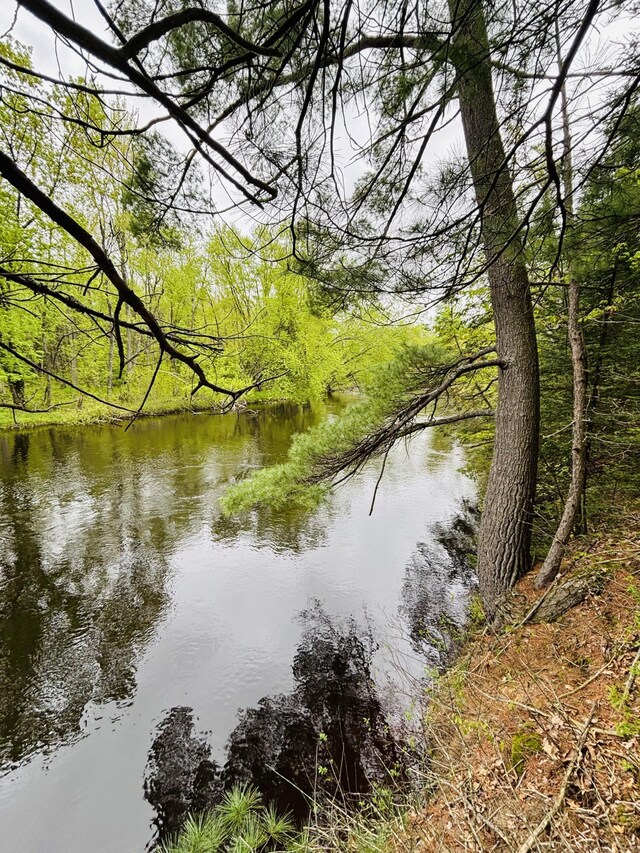 4375 W Haskell Lake Rd, Harrison, MI 48625 - water view with a heavily wooded area