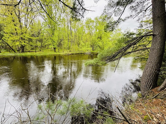 4375 W Haskell Lake Rd, Harrison, MI 48625 - water view featuring a forest